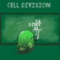 celldivision_